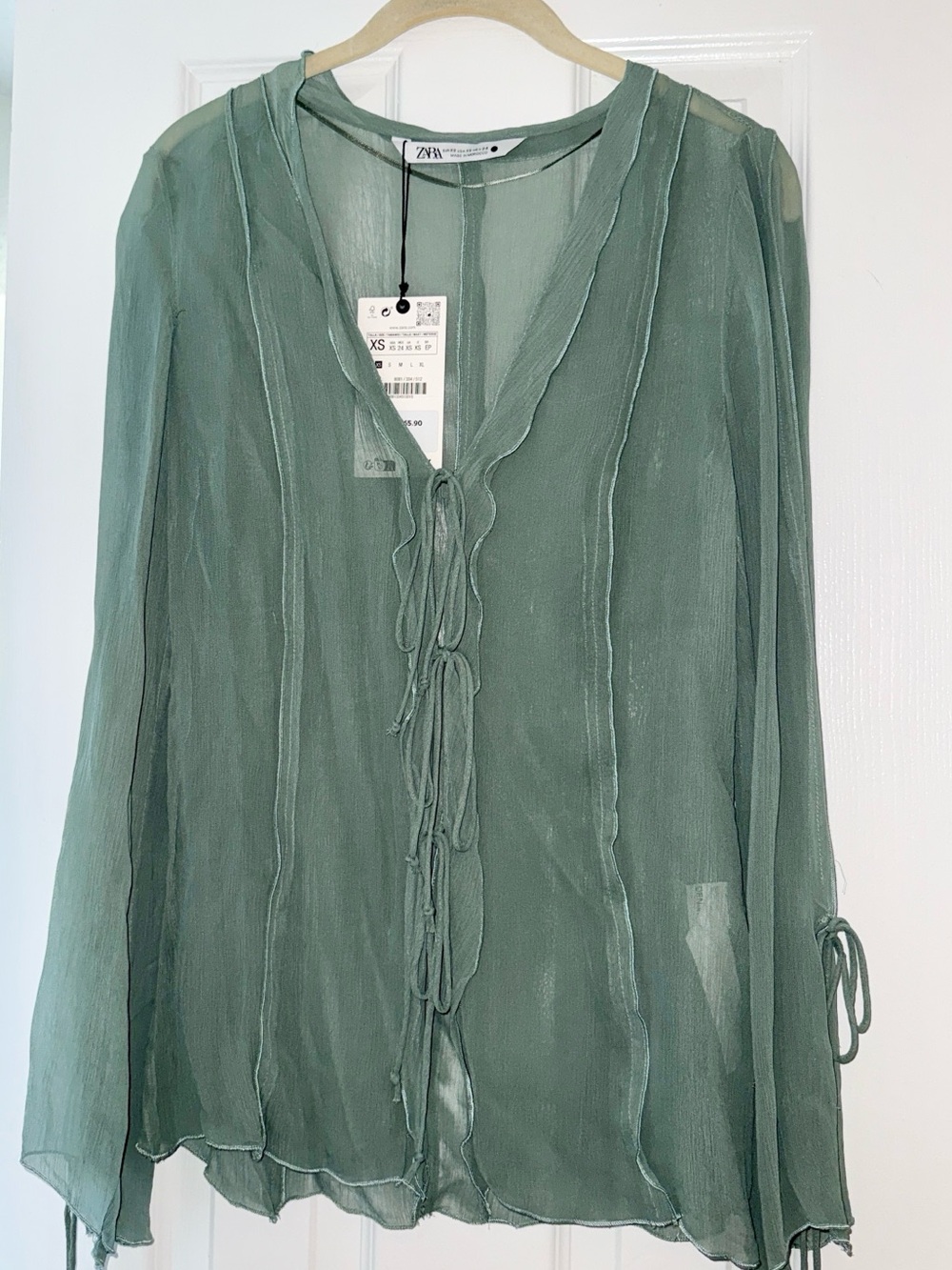 NWT Zara Sheer Blouse
